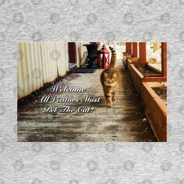 Country Store Cat Welcome 2 by Robert Alsop